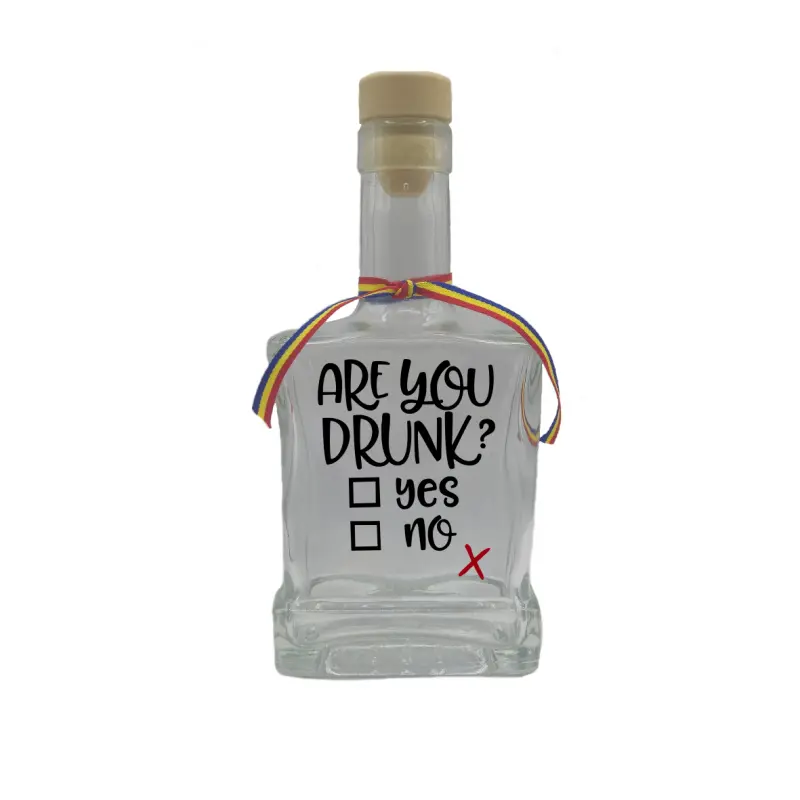 Are you drunk, sticla cu mesaj plata, 500 ml, model divgs179 01